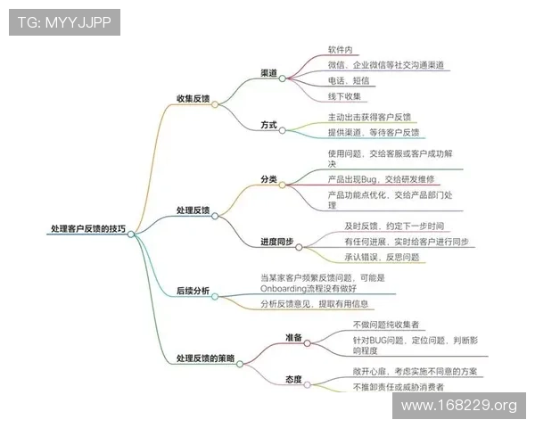 深入剖析5386全民彩平台的运营策略与用户反馈